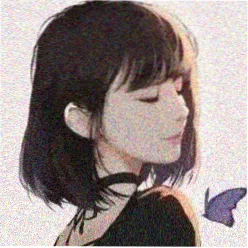 用户 木木不吃香菜 的头像