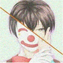 用户 白噪音收藏家 的头像